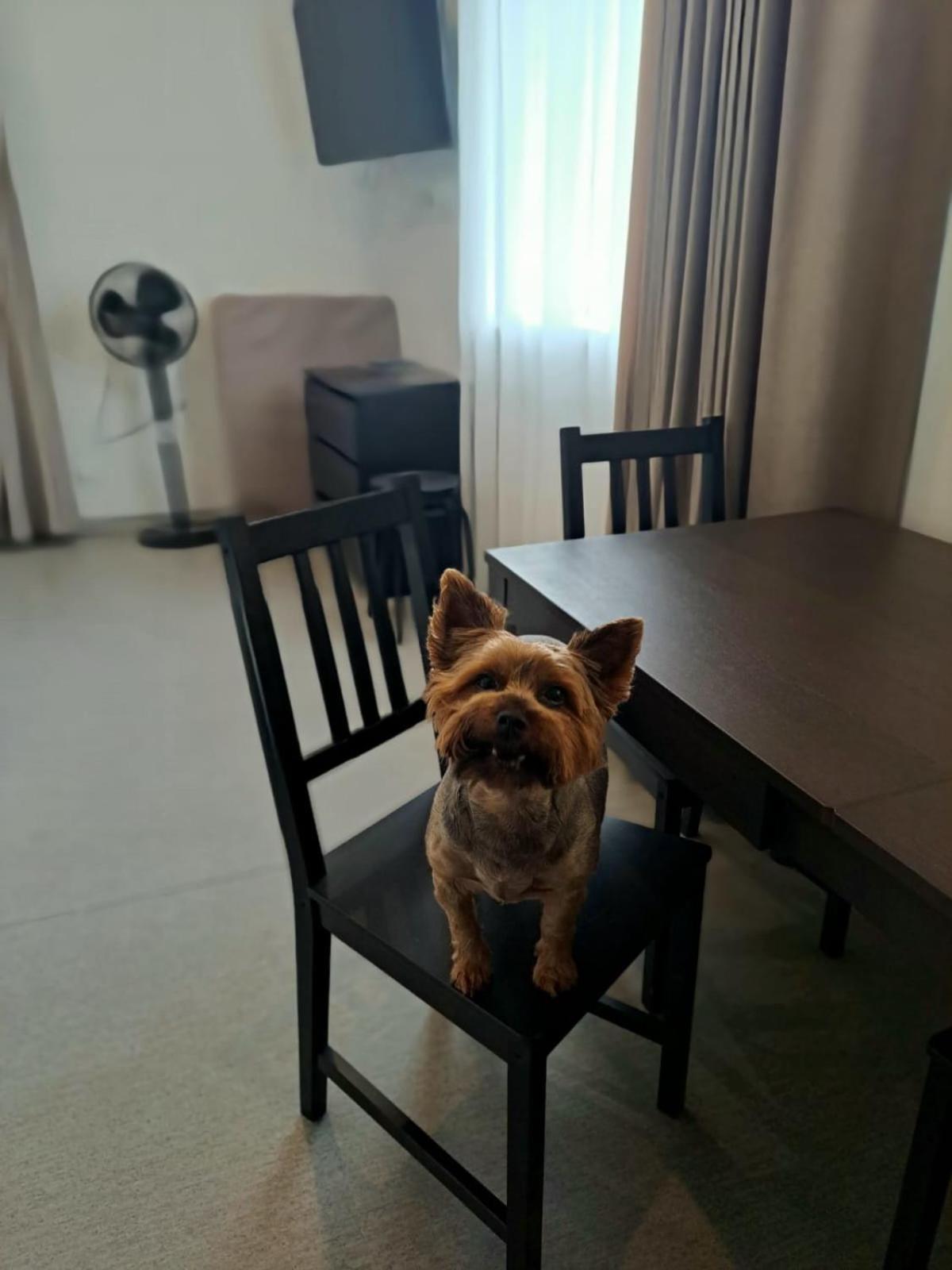 Jaunamuiza Apartamenti Valmiera Dış mekan fotoğraf
